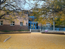 Dunn in the Autumn