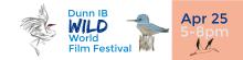 Hand drawn crane and kingfisher over the words Dunn IB WILD World Film Festival APR 25 5-8pm
